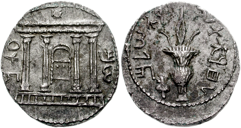 Bar Kokhba coin